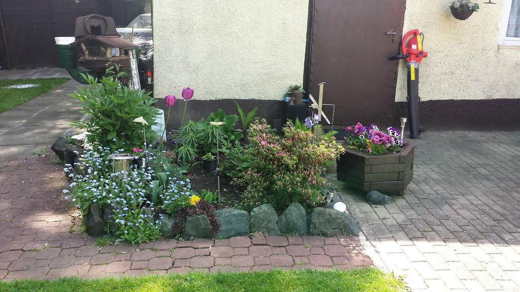 Ferienwohnung Cziesla Bad Sachsa Esterno foto