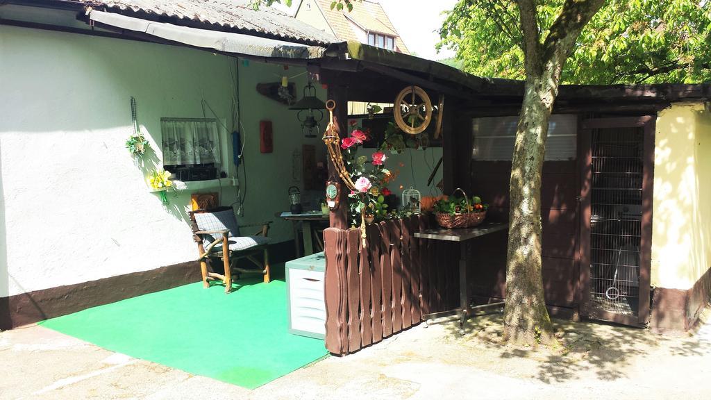 Ferienwohnung Cziesla Bad Sachsa Esterno foto